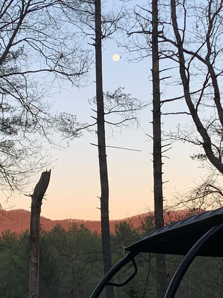 12.64 AC Harrison Sluder Road, Ellijay GA 30540 - Photo