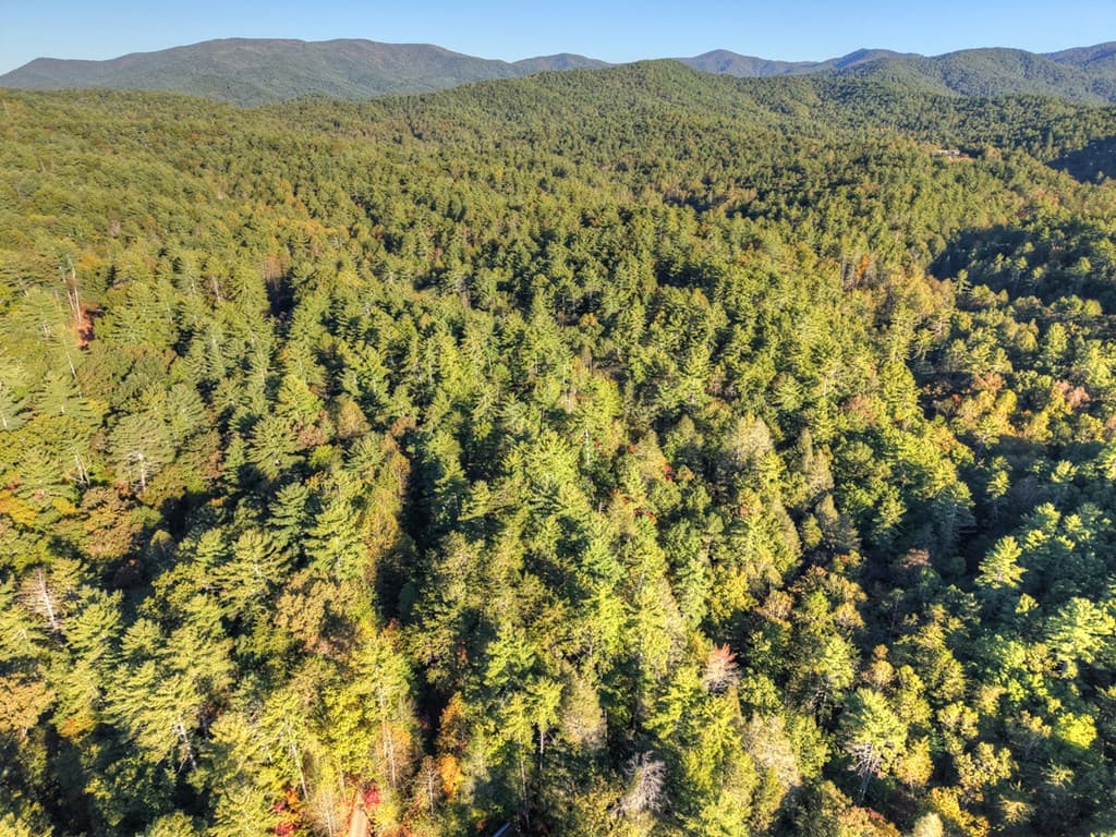 12.64 AC Harrison Sluder Road, Ellijay GA 30540 - Photo