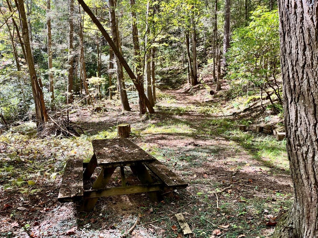 12.64 AC Harrison Sluder Road, Ellijay GA 30540 - Photo