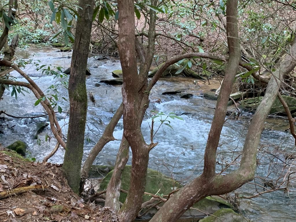 12.64 AC Harrison Sluder Road, Ellijay GA 30540 - Photo