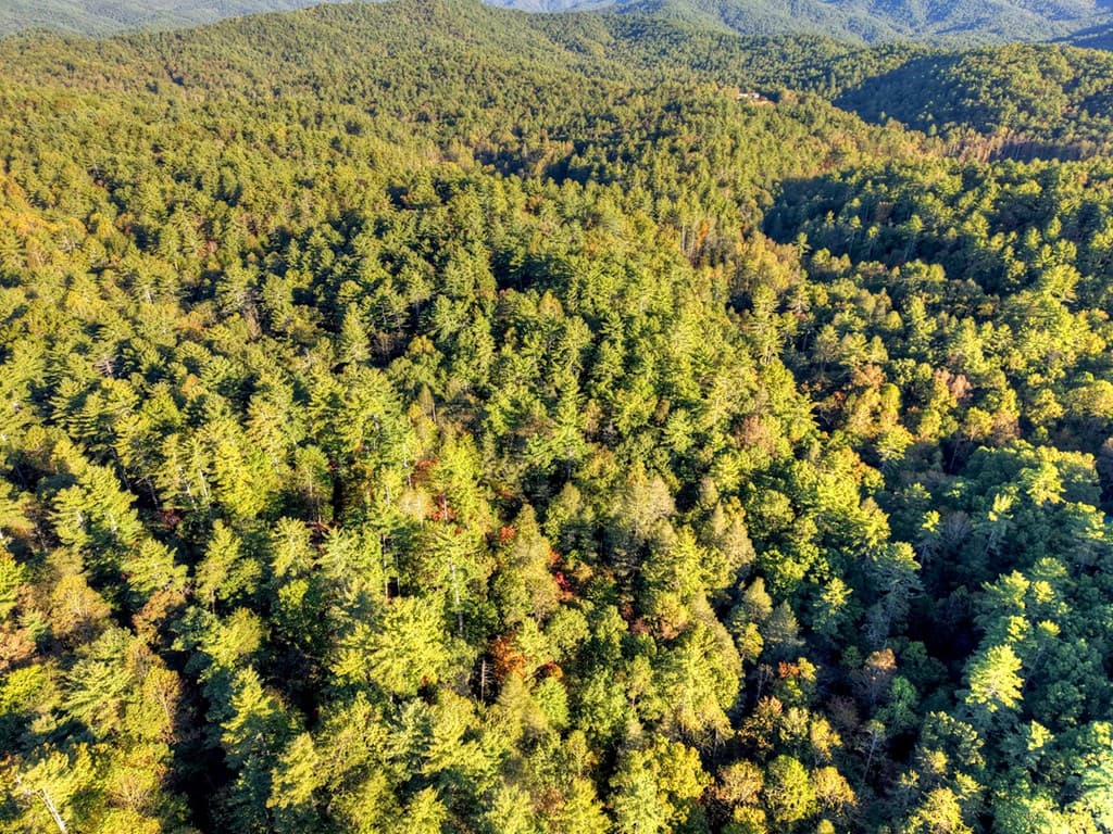 12.64 AC Harrison Sluder Road, Ellijay GA 30540 - Photo