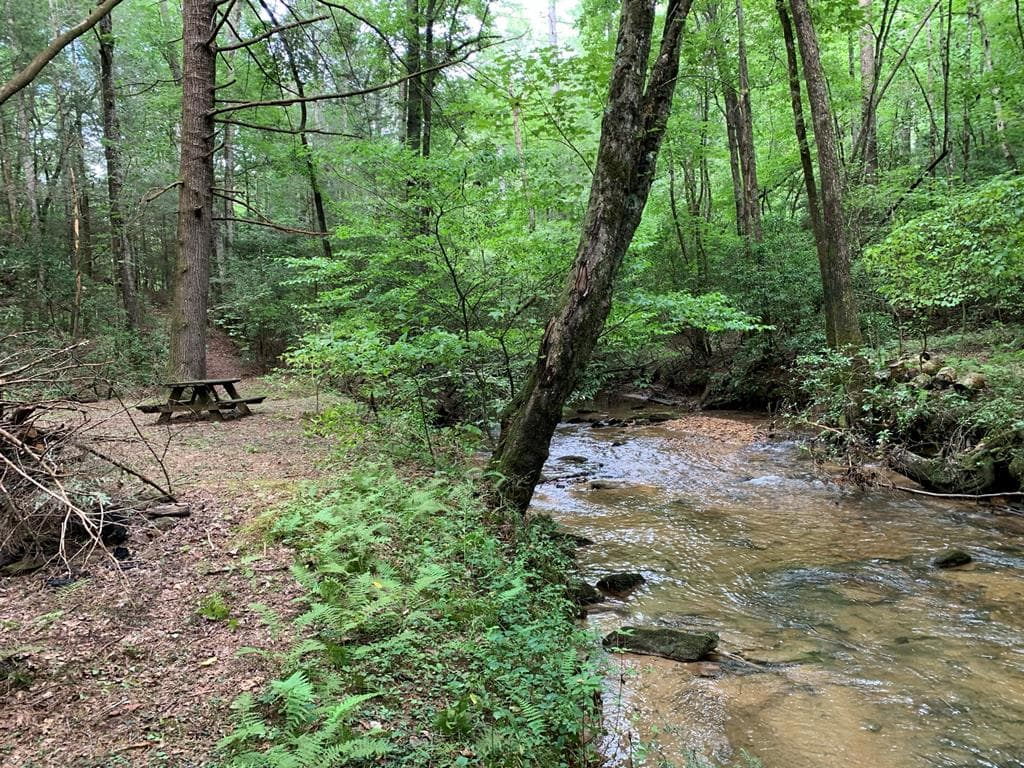 12.64 AC Harrison Sluder Road, Ellijay GA 30540 - Photo