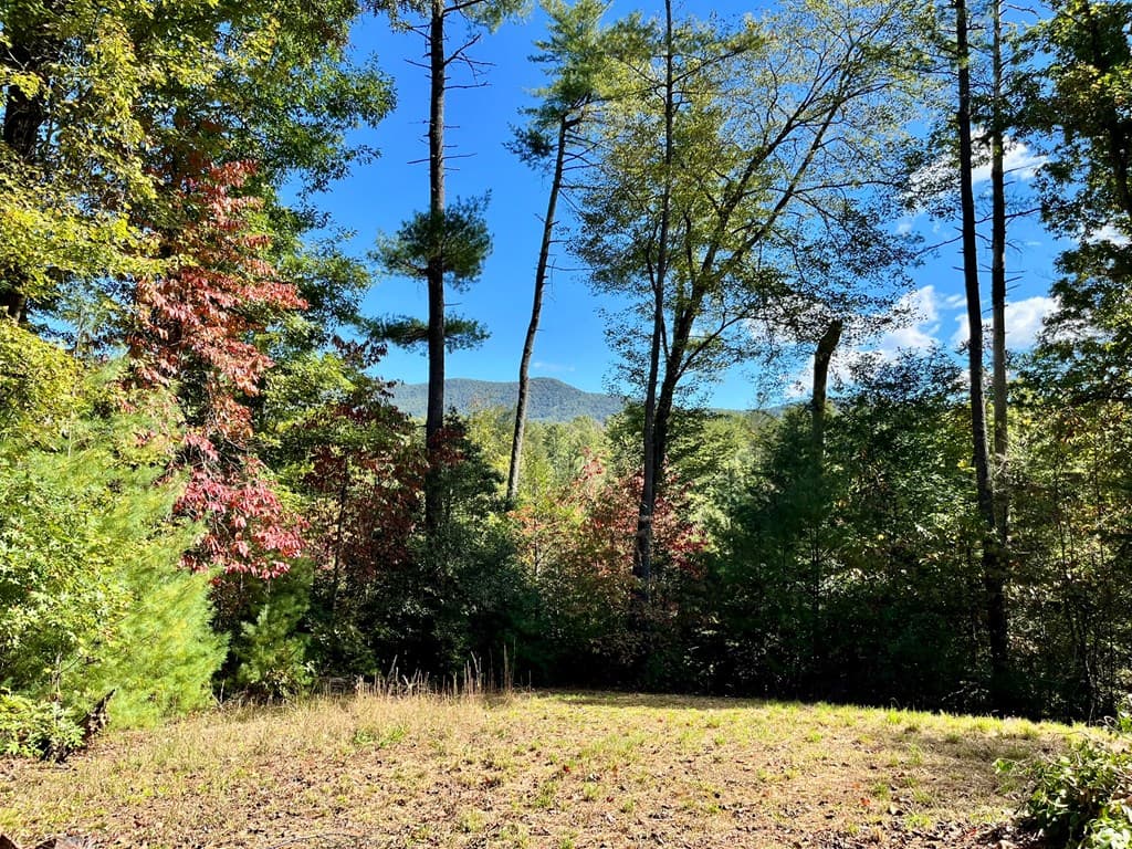 12.64 AC Harrison Sluder Road, Ellijay GA 30540 - Photo