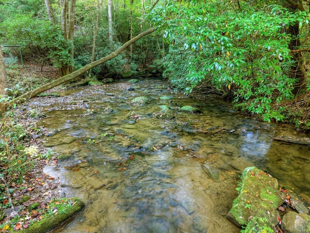 12.64 AC Harrison Sluder Road, Ellijay GA 30540 - Photo