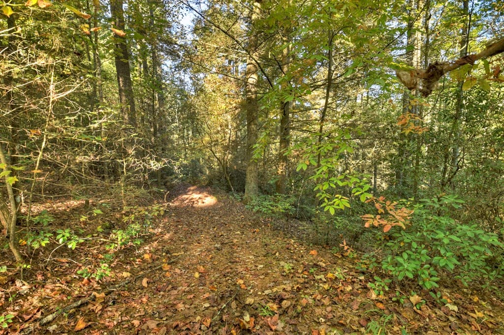 12.64 AC Harrison Sluder Road, Ellijay GA 30540 - Photo
