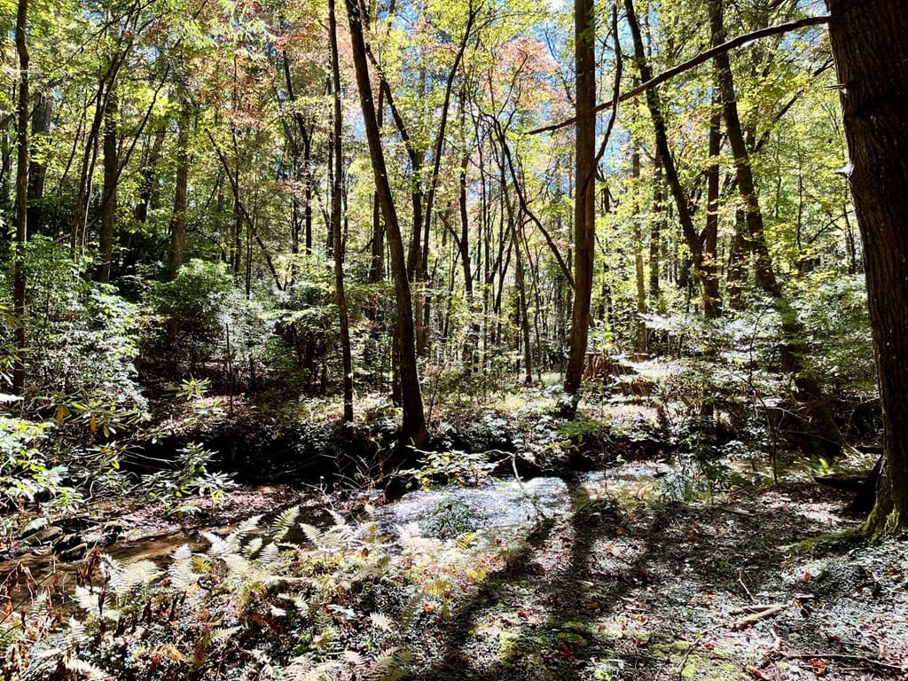 12.64 AC Harrison Sluder Road, Ellijay GA 30540 - Photo