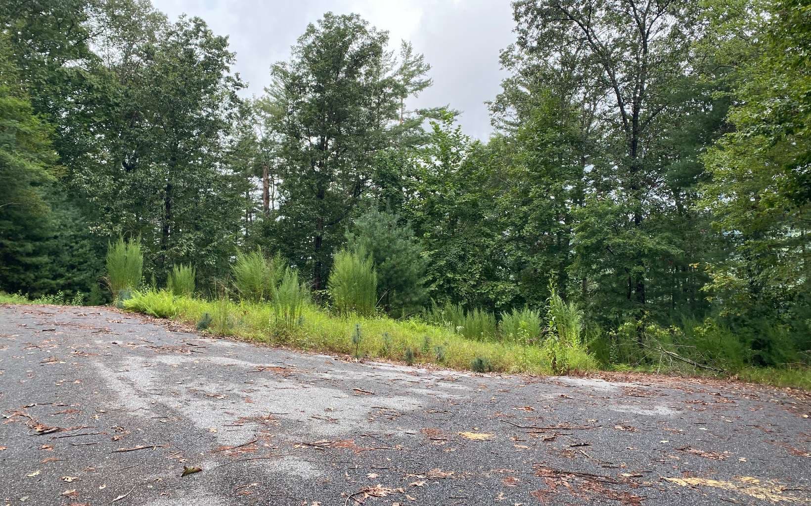 Lot 55 Laurel Trail, Suches GA 30572 - Photo