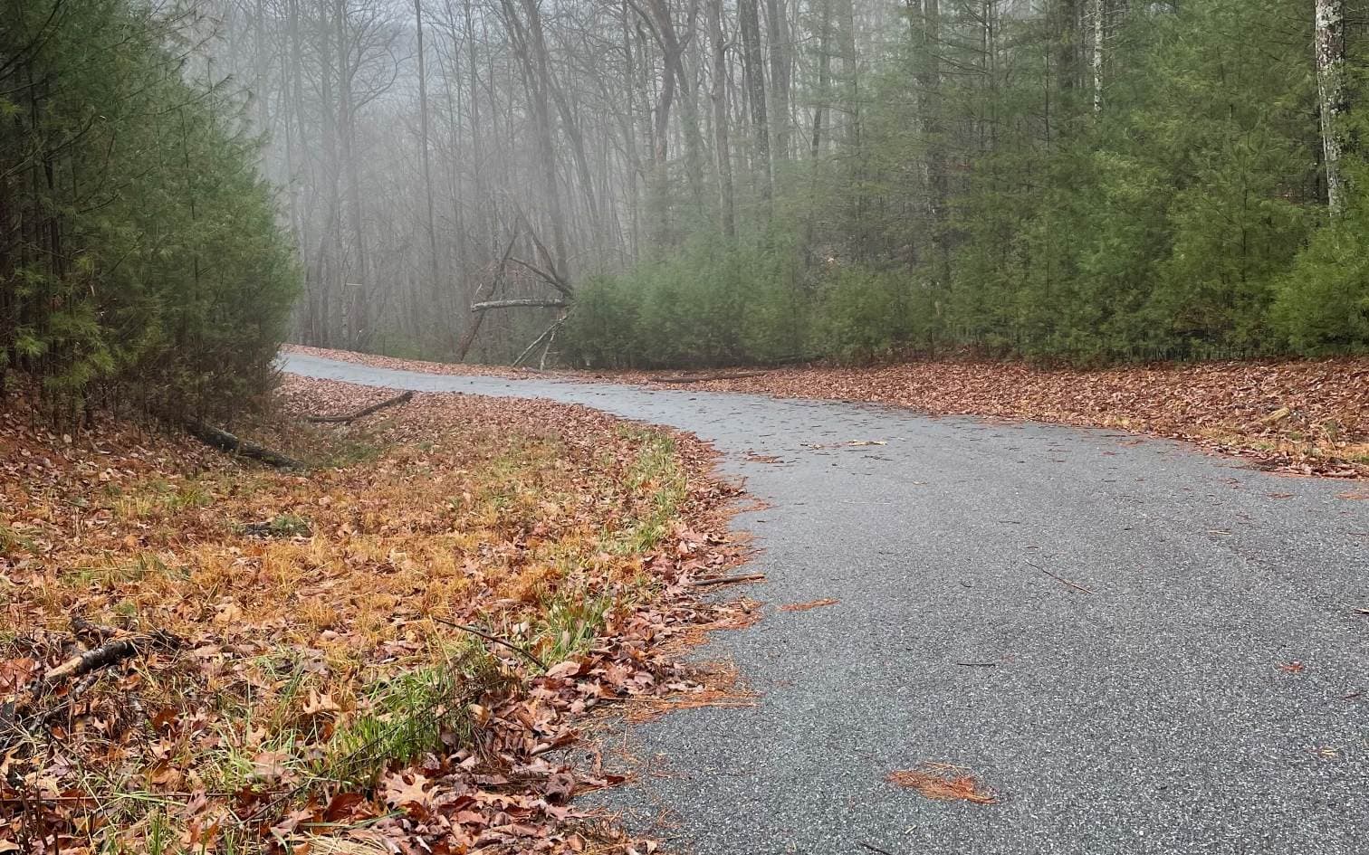 Lot 55 Laurel Trail, Suches GA 30572 - Photo