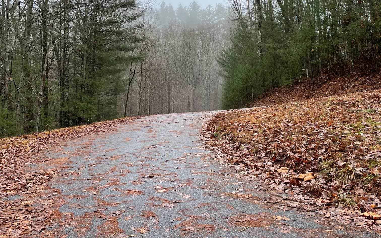 Lot 55 Laurel Trail, Suches GA 30572 - Photo