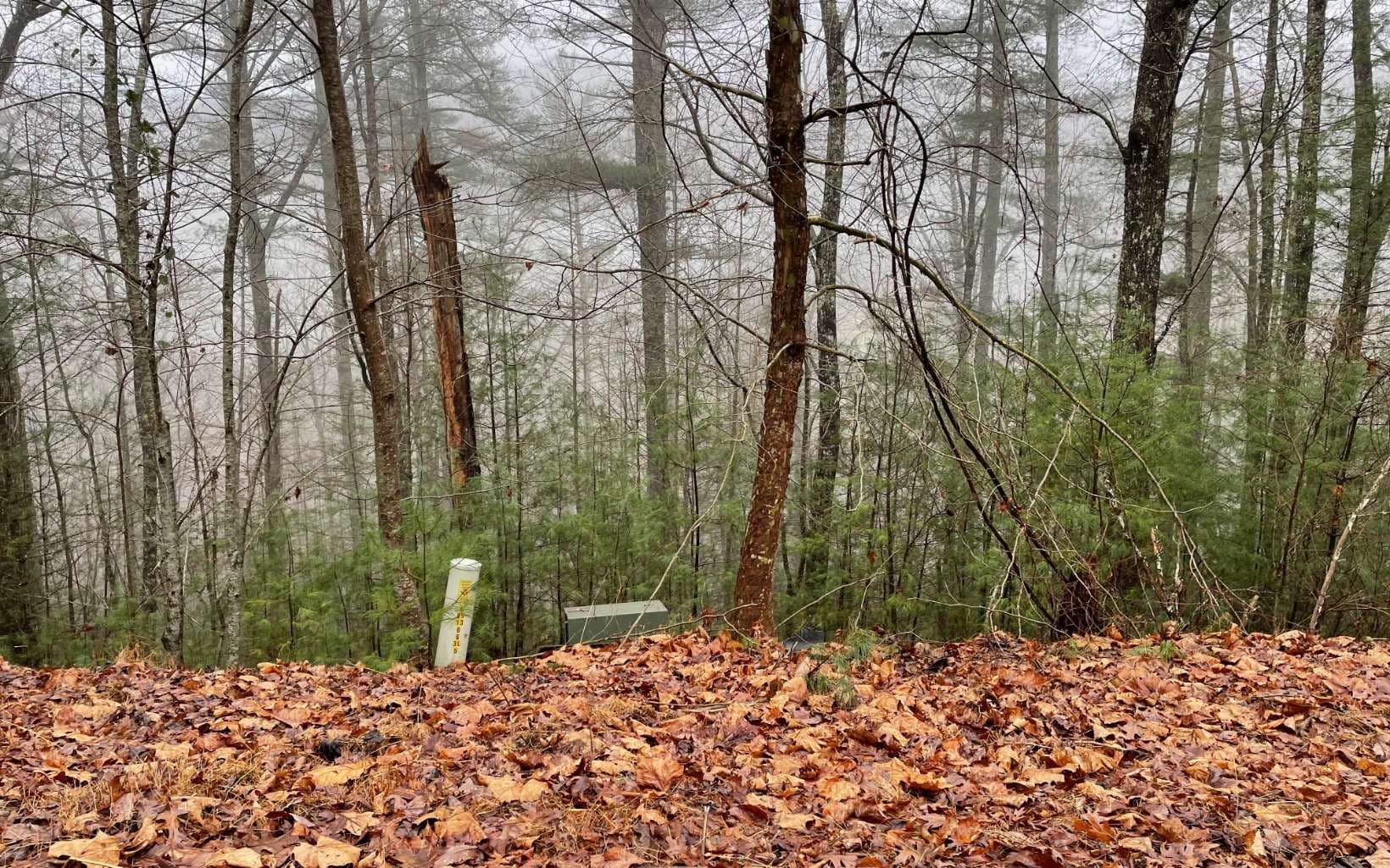 Lot 55 Laurel Trail, Suches GA 30572 - Photo