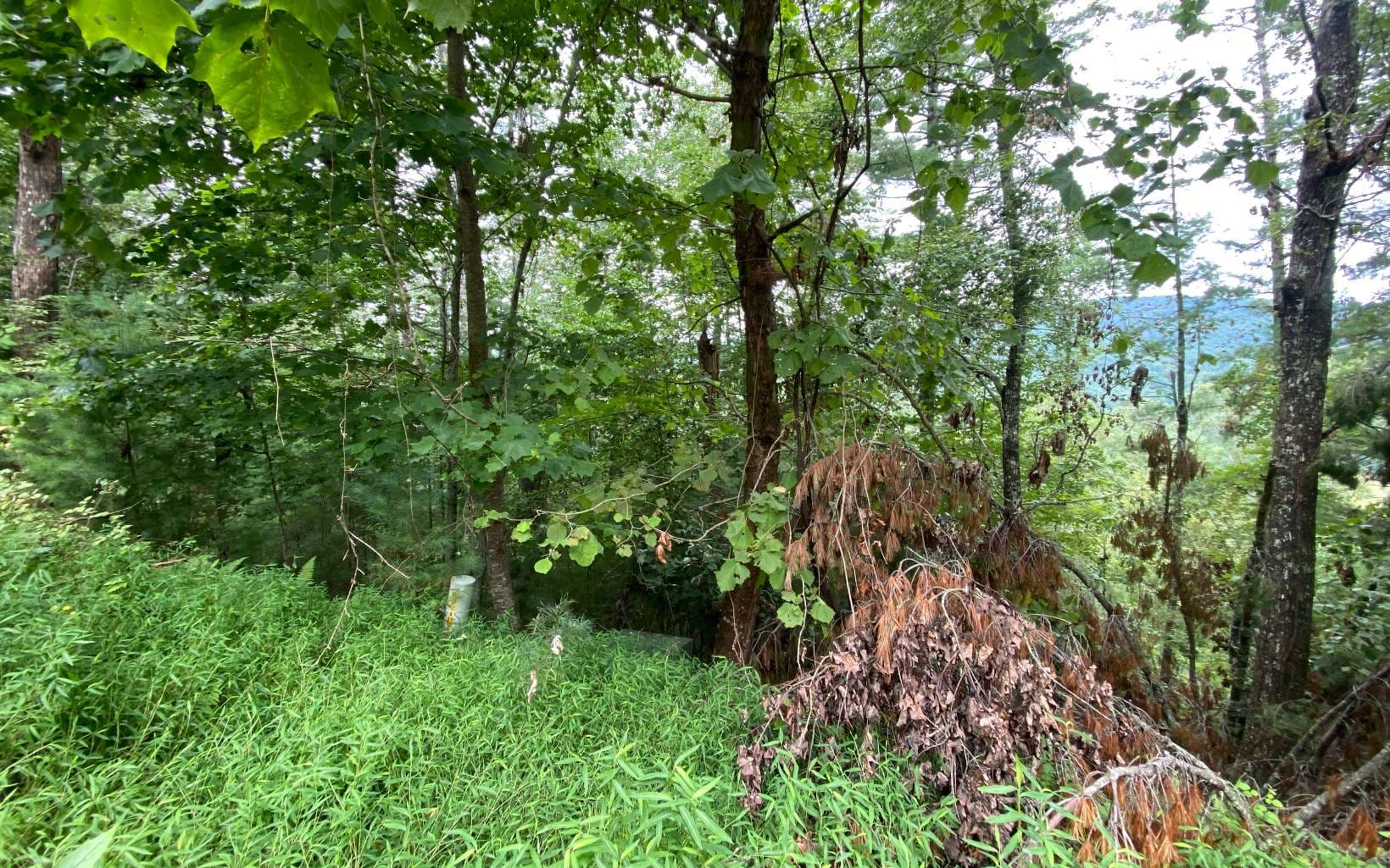 Lot 55 Laurel Trail, Suches GA 30572 - Photo