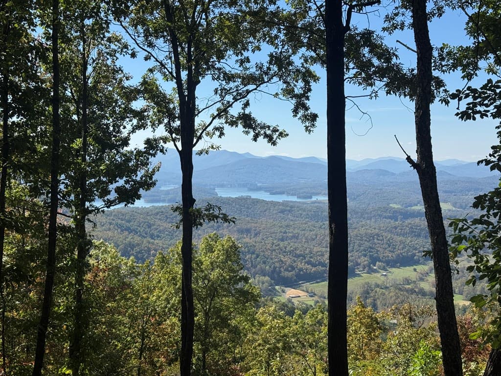 1280 E Double Knobs Drive, Hayesville NC 28904 - Photo