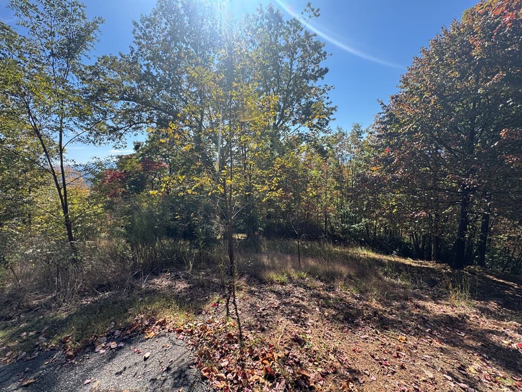 1280 E Double Knobs Drive, Hayesville NC 28904 - Photo