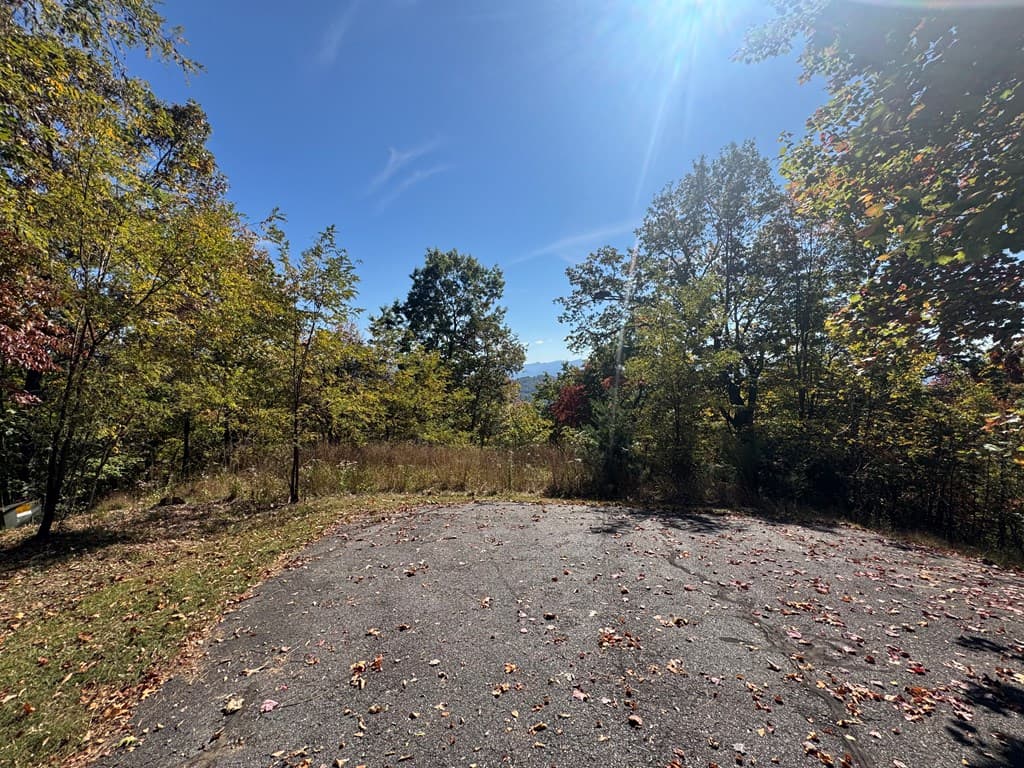 1280 E Double Knobs Drive, Hayesville NC 28904 - Photo