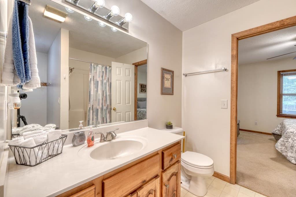 3739 Pat Colwell Road, Blairsville GA 30512 - Photo