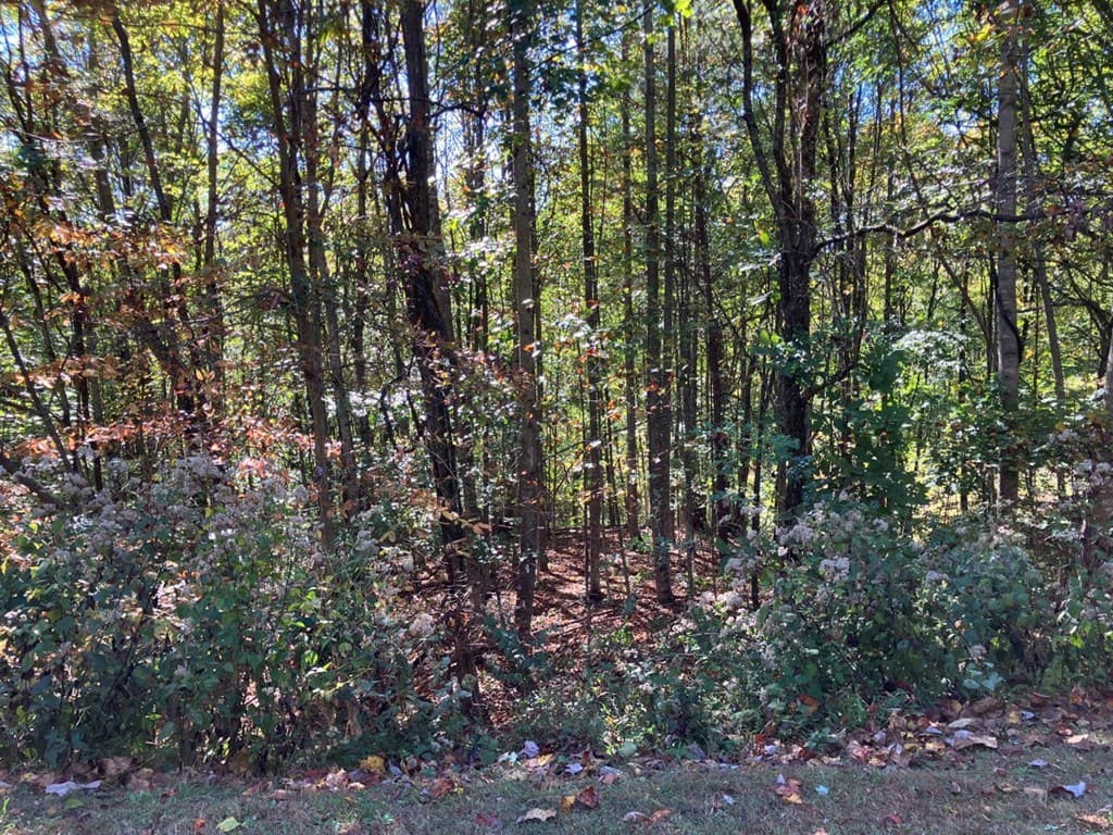 28/29 Sanctuary Drive, Murphy NC 28906 - Photo
