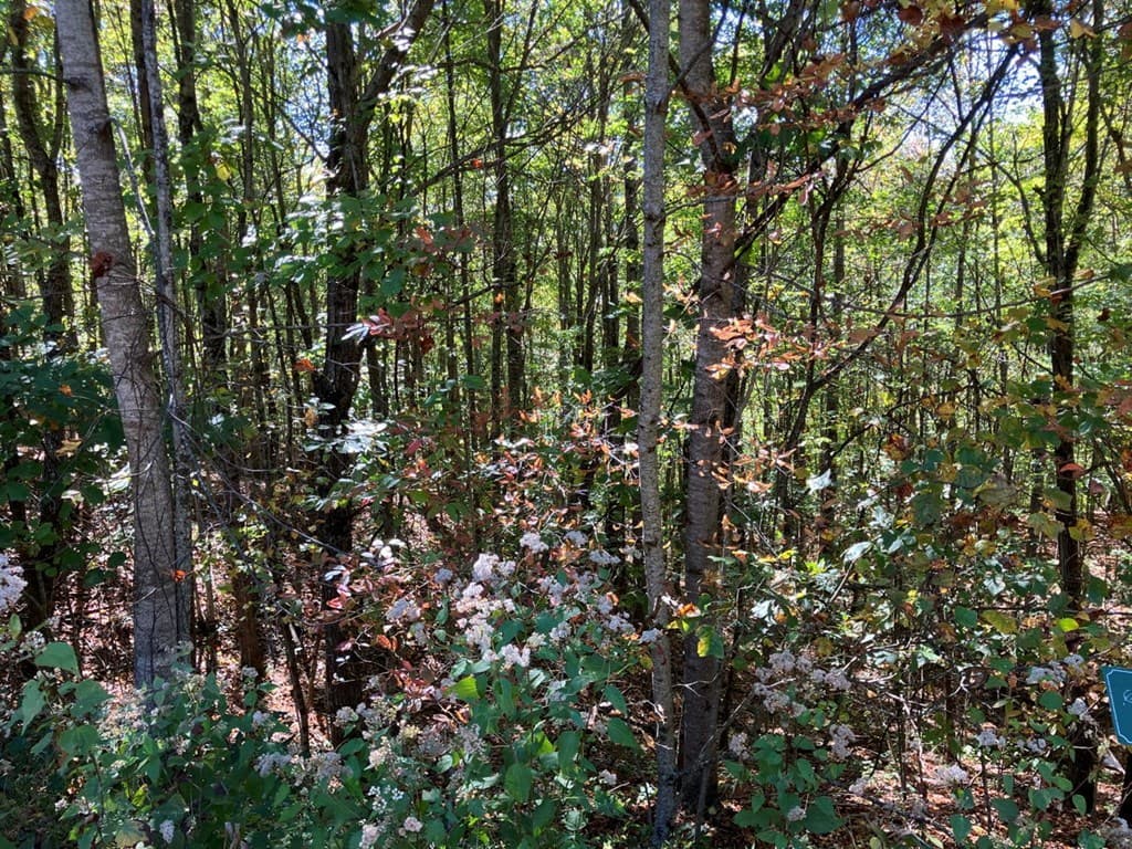 28/29 Sanctuary Drive, Murphy NC 28906 - Photo