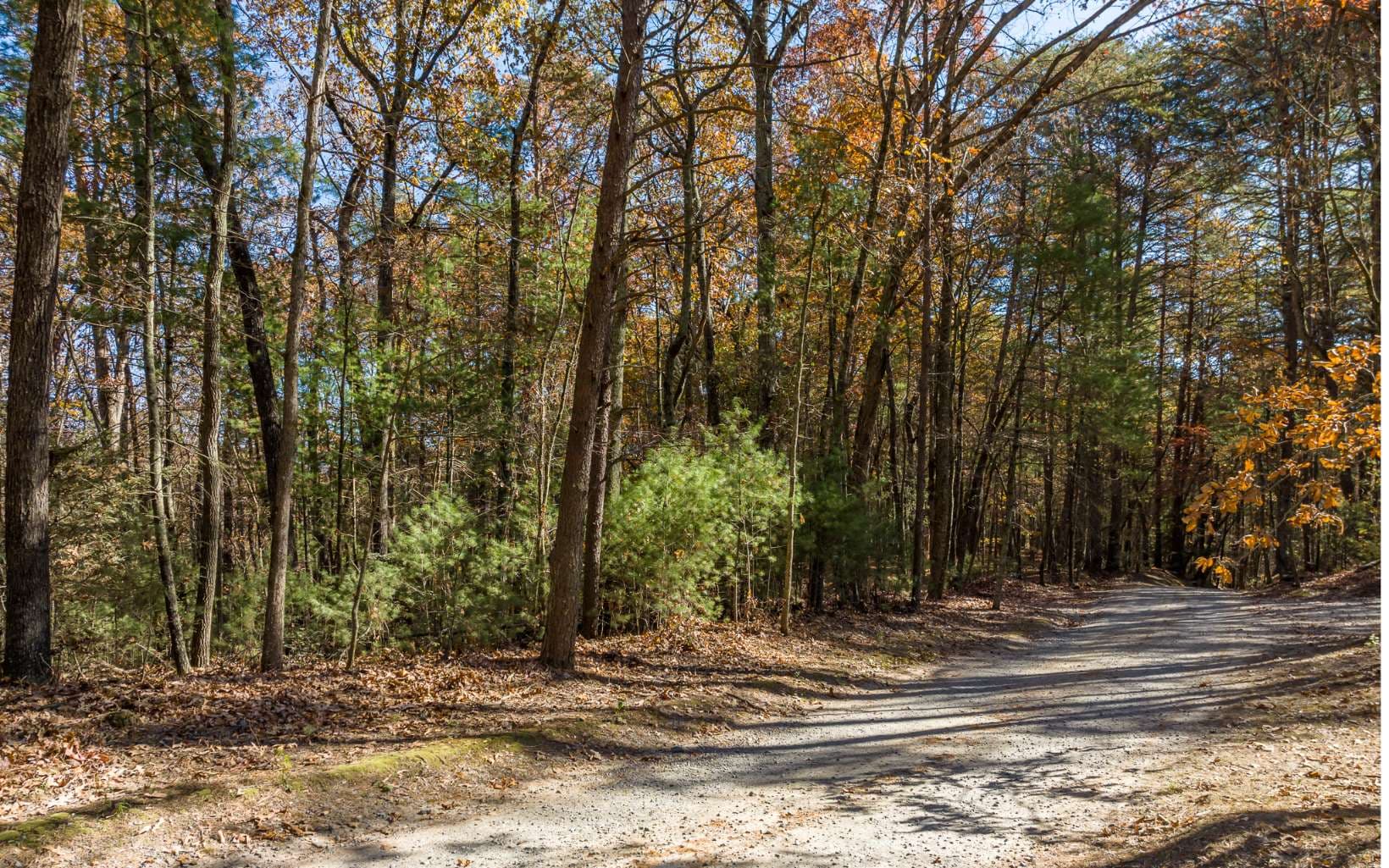 1 TR Old Anderson Creek, Ellijay GA 30536 - Photo