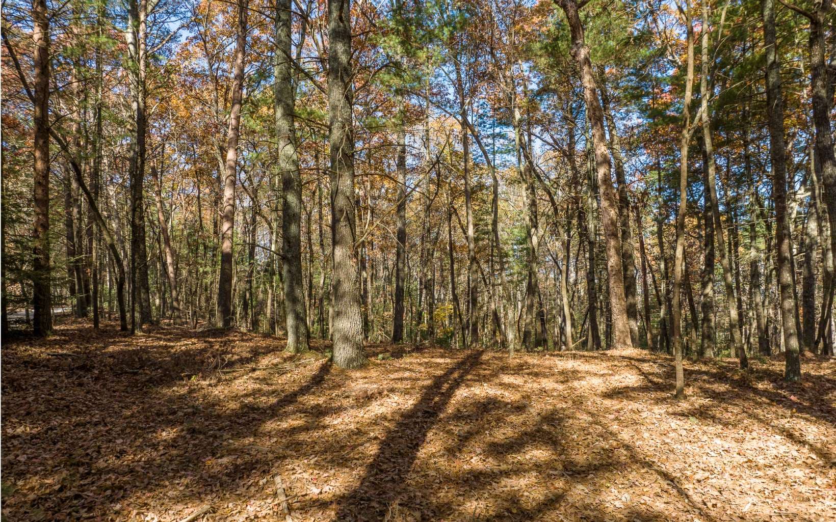 1 TR Old Anderson Creek, Ellijay GA 30536 - Photo