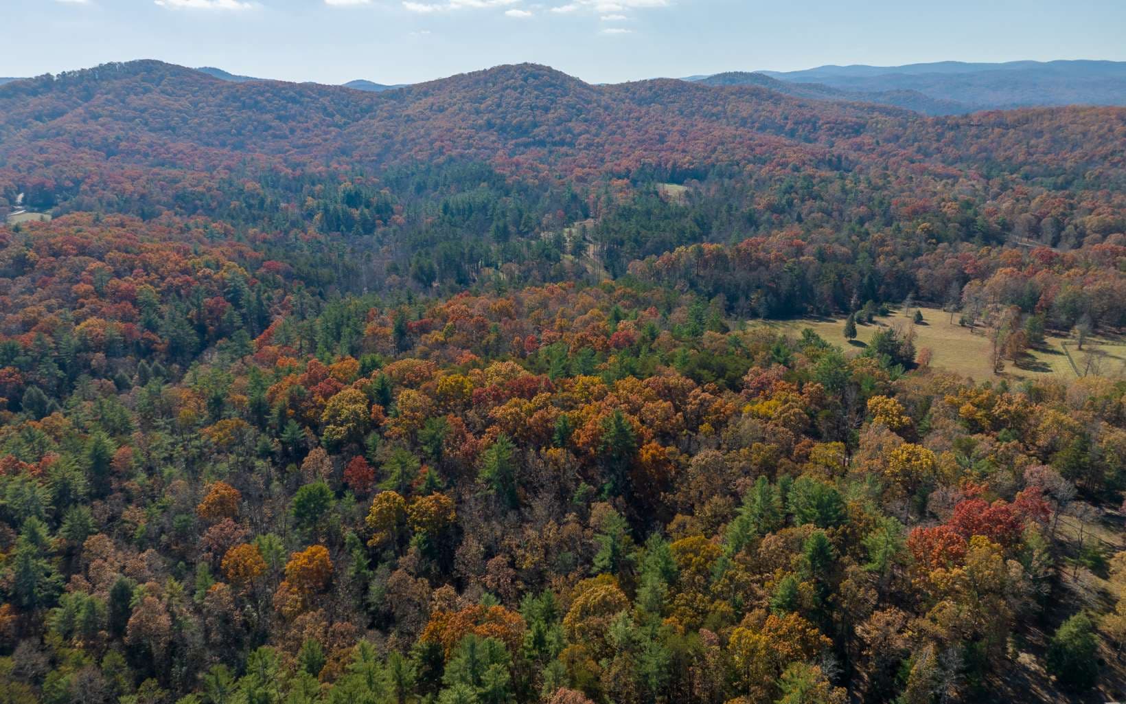 1 TR Old Anderson Creek, Ellijay GA 30536 - Photo