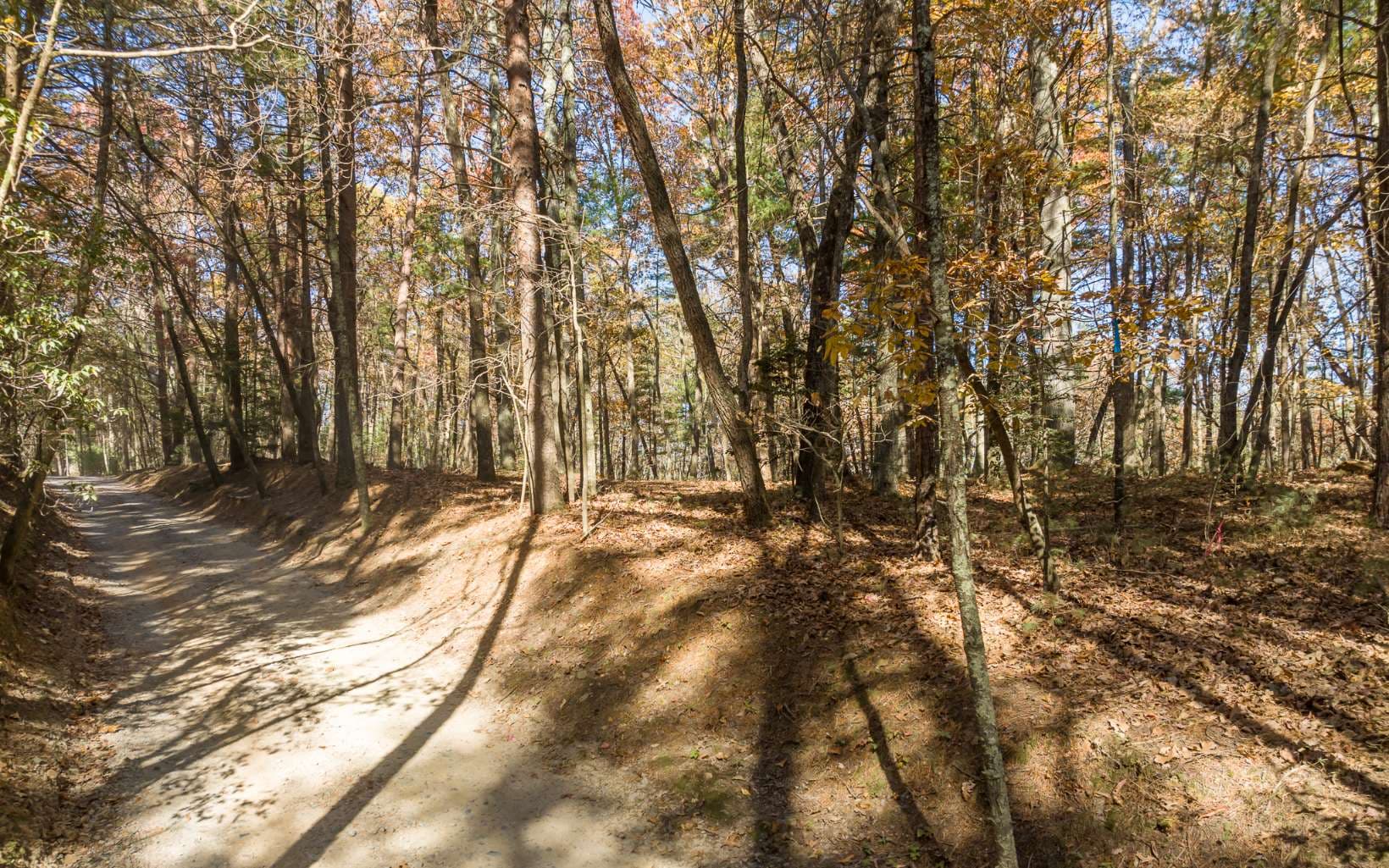 1 TR Old Anderson Creek, Ellijay GA 30536 - Photo