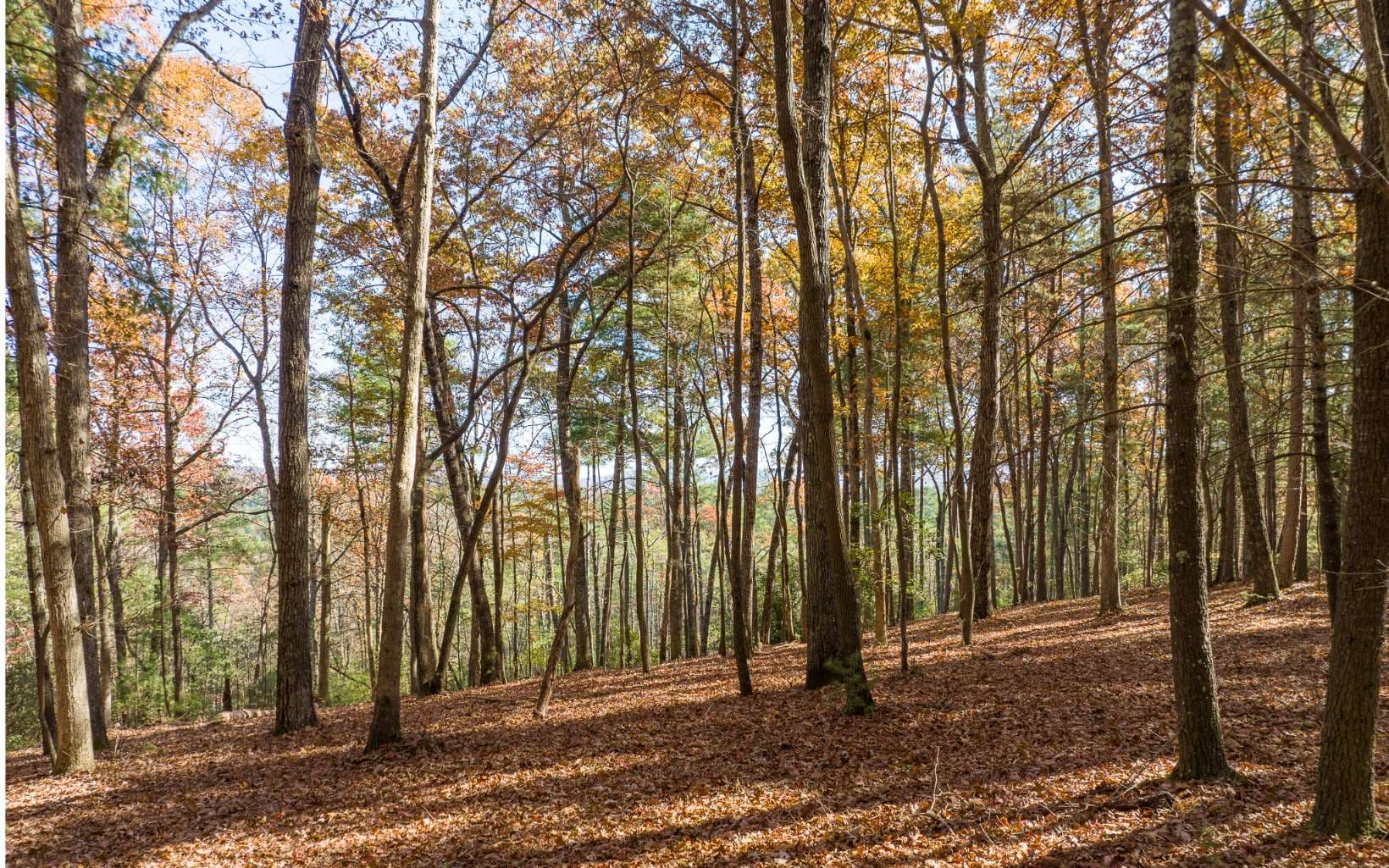 2 TR Old Anderson Creek, Ellijay GA 30536 - Photo