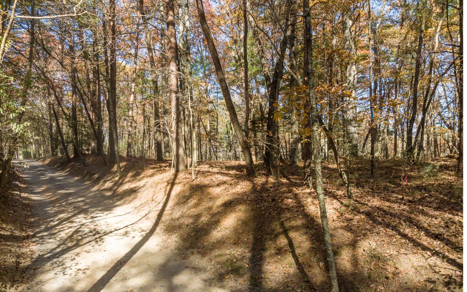 2 TR Old Anderson Creek, Ellijay GA 30536 - Photo
