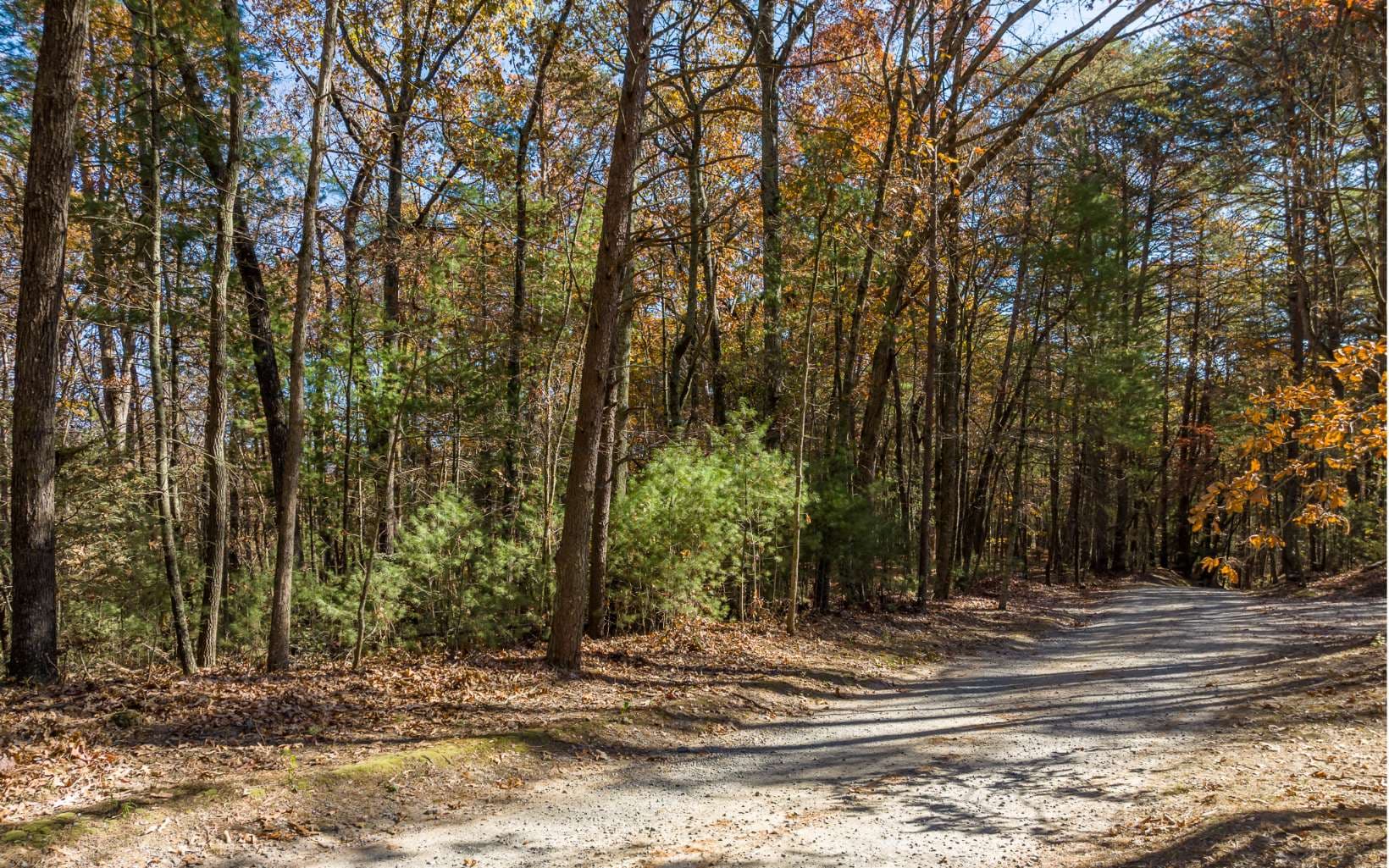 2 TR Old Anderson Creek, Ellijay GA 30536 - Primary photo