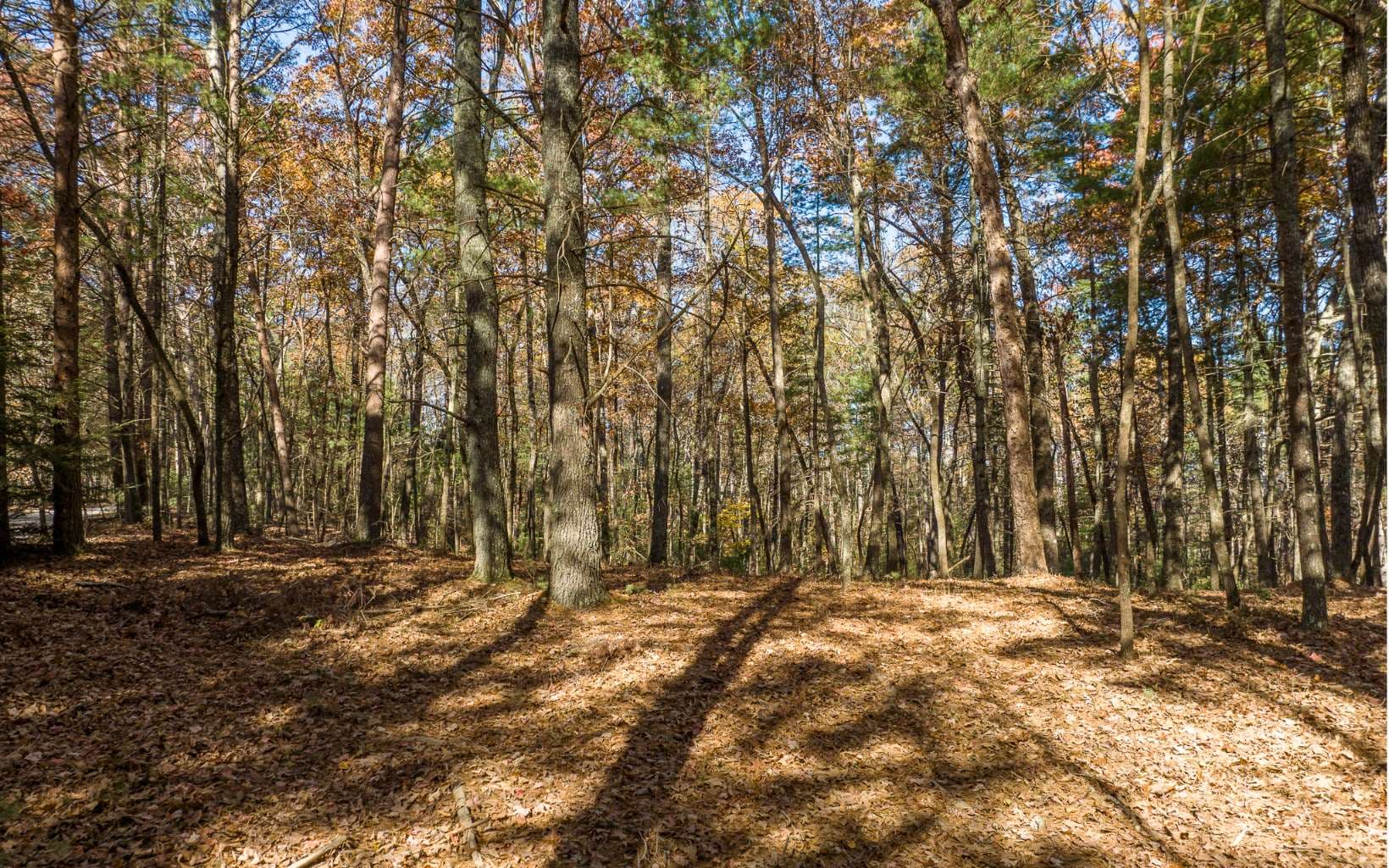 2 TR Old Anderson Creek, Ellijay GA 30536 - Photo