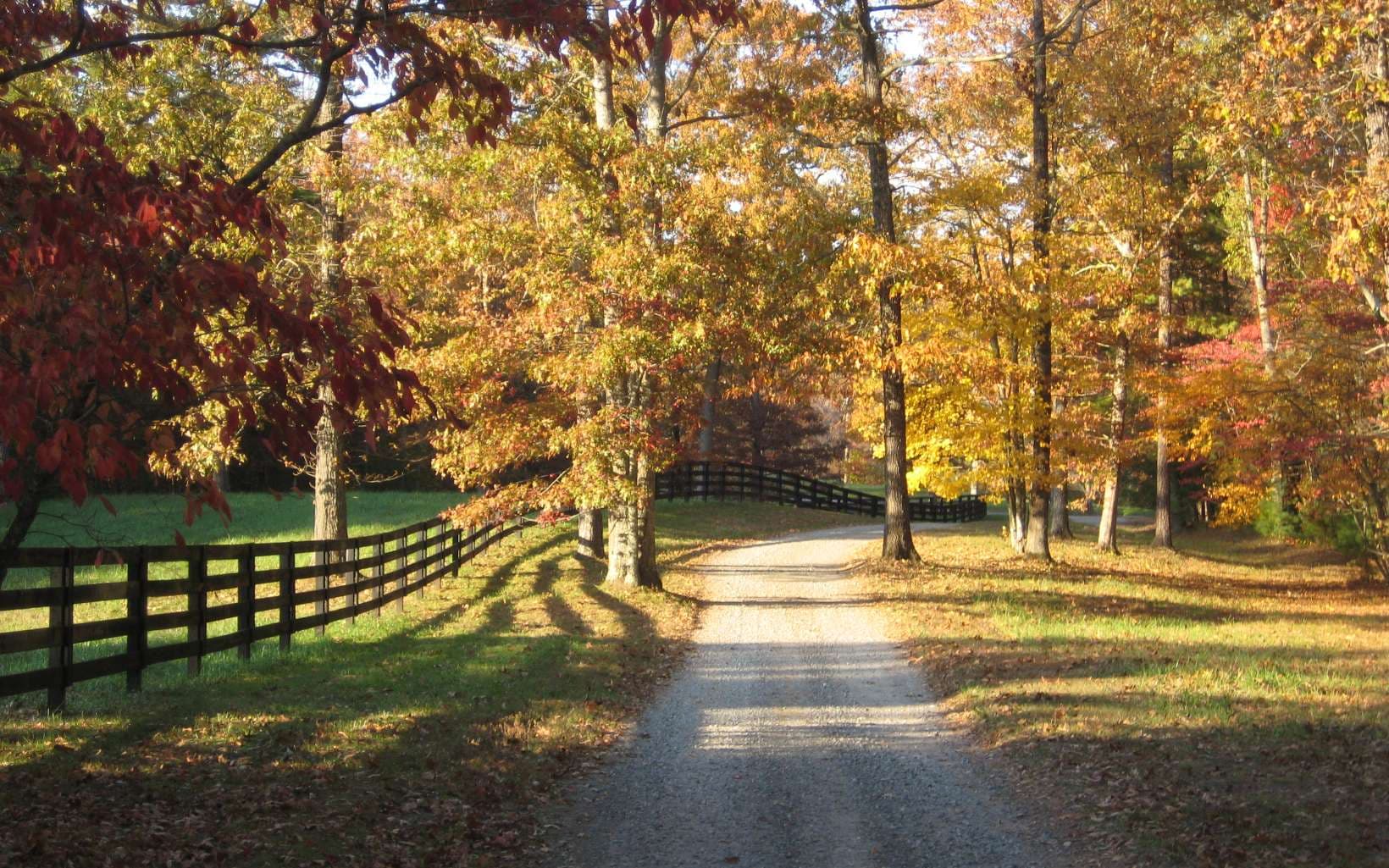 2 TR Old Anderson Creek, Ellijay GA 30536 - Photo