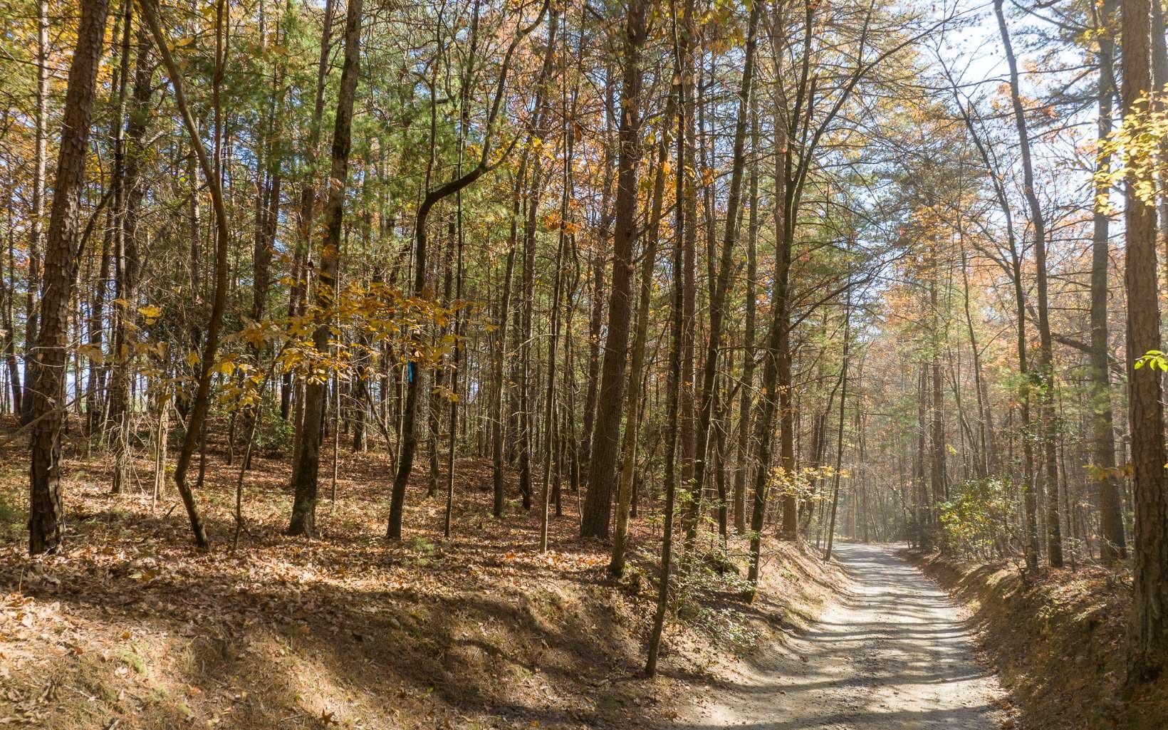 2 TR Old Anderson Creek, Ellijay GA 30536 - Photo