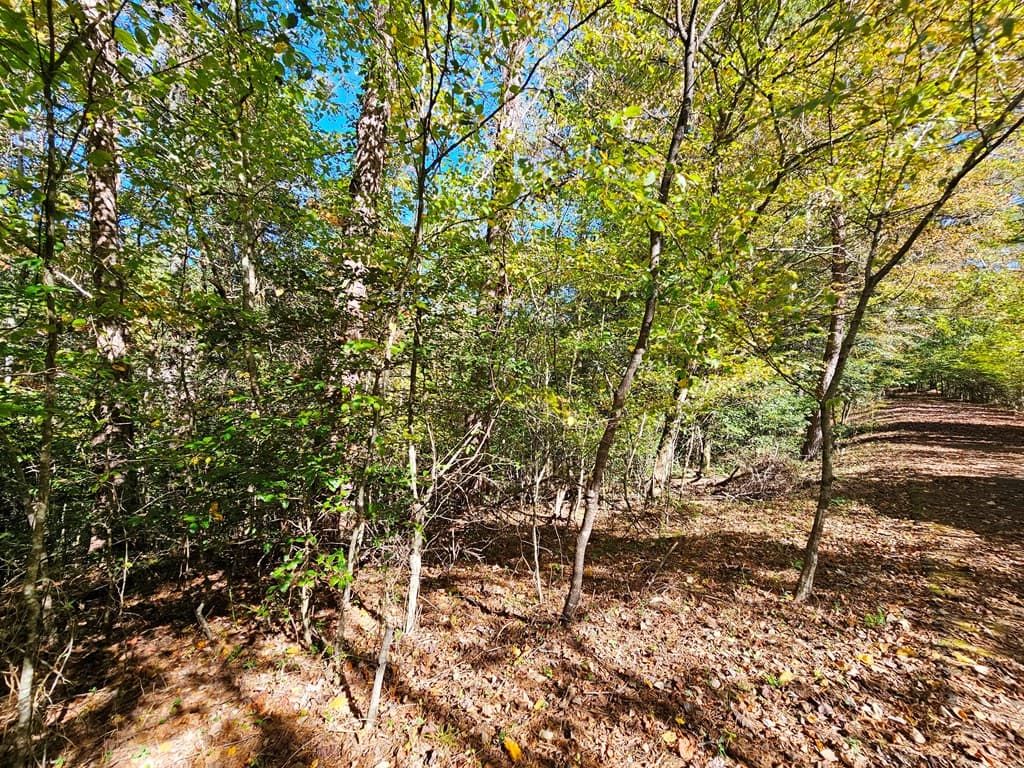 Lot 12 Kaitlan Lane, Murphy NC 28906 - Photo
