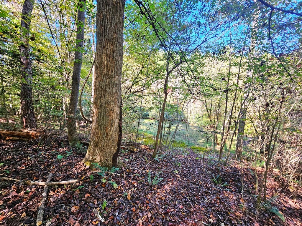 Lot 12 Kaitlan Lane, Murphy NC 28906 - Photo
