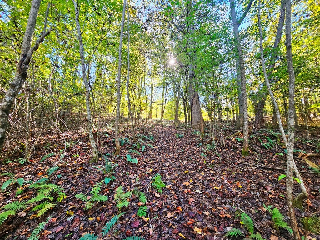 Lot 12 Kaitlan Lane, Murphy NC 28906 - Photo
