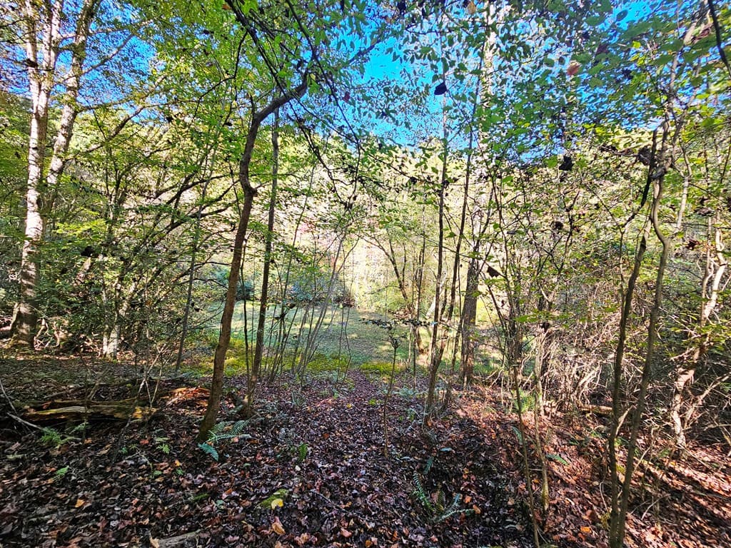 Lot 12 Kaitlan Lane, Murphy NC 28906 - Photo