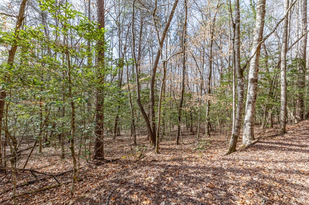 Lots 7&8 Zion Way, Blairsville GA 30512 - Photo