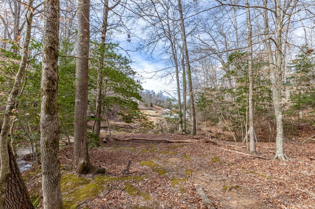 Lots 7&8 Zion Way, Blairsville GA 30512 - Photo