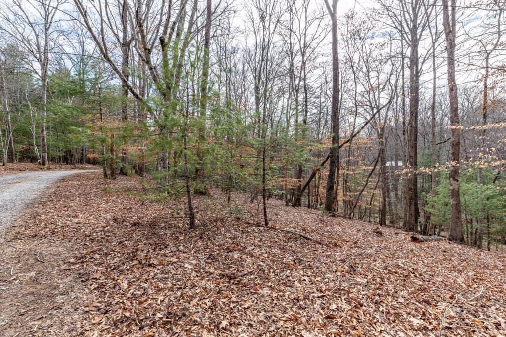 Lots 7&8 Zion Way, Blairsville GA 30512 - Photo