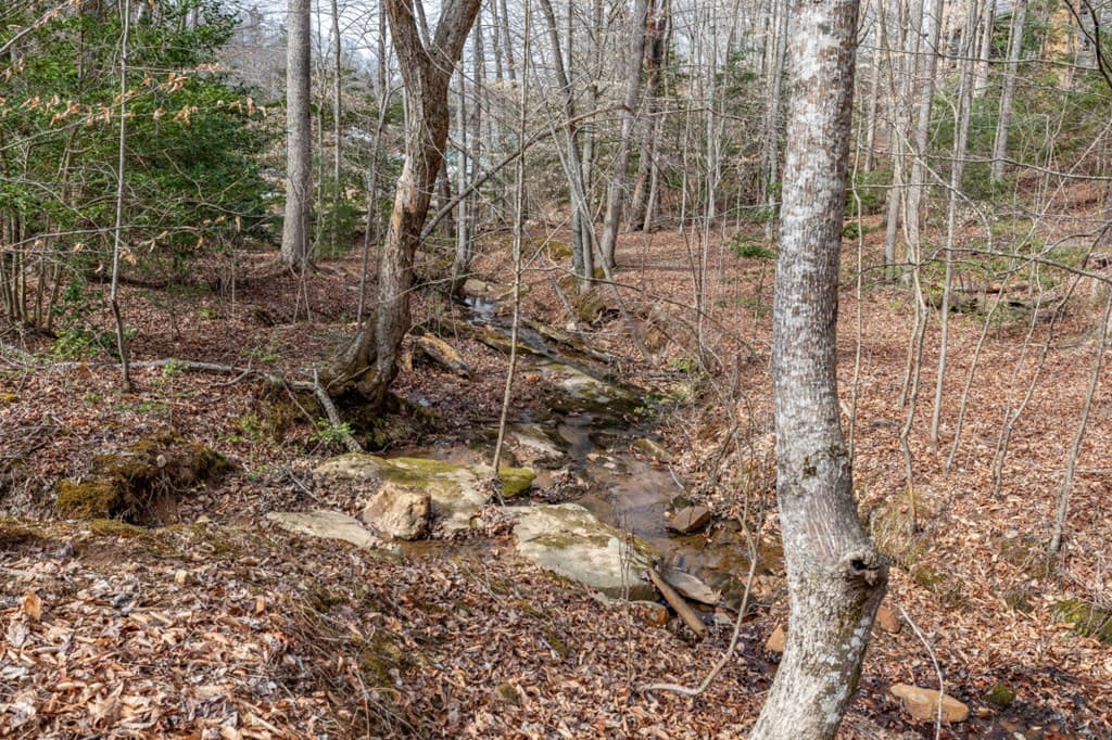 Lots 7&8 Zion Way, Blairsville GA 30512 - Photo