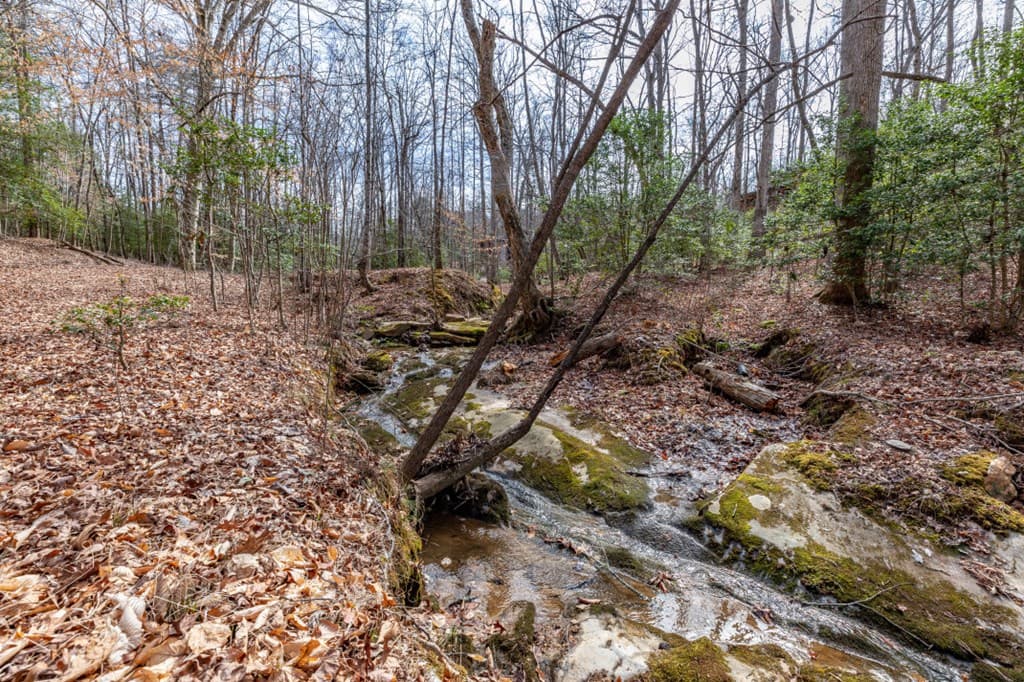 Lots 7&8 Zion Way, Blairsville GA 30512 - Photo
