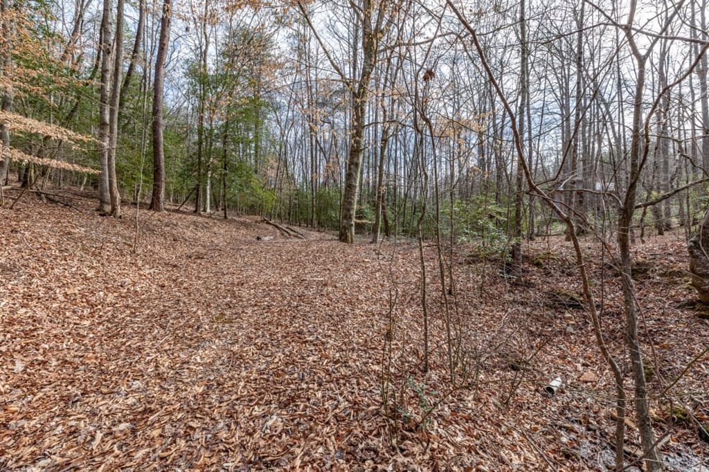 Lots 7&8 Zion Way, Blairsville GA 30512 - Photo