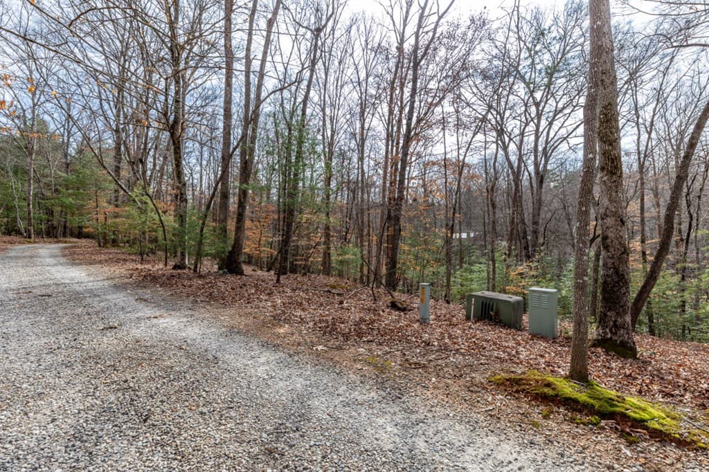 Lots 7&8 Zion Way, Blairsville GA 30512 - Photo