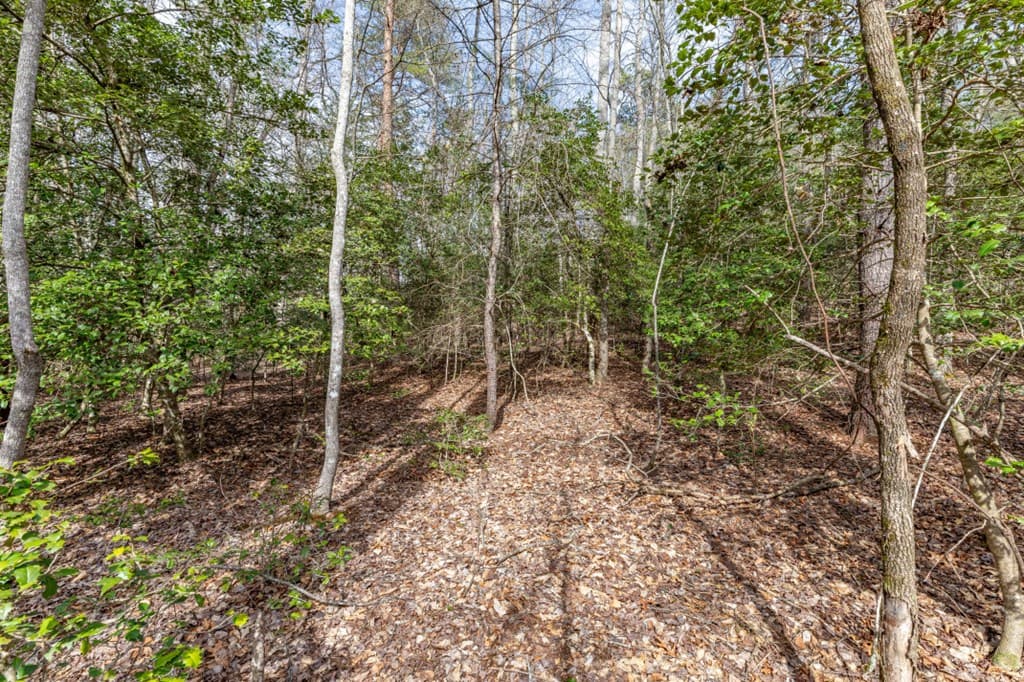 Lots 7&8 Zion Way, Blairsville GA 30512 - Photo