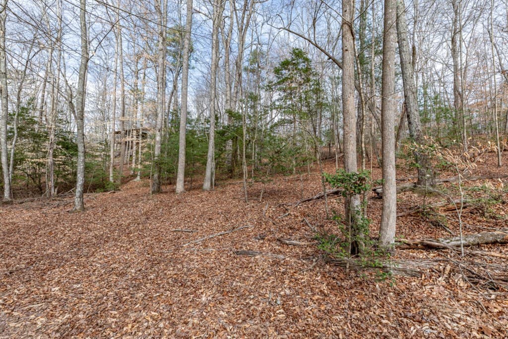 Lots 7&8 Zion Way, Blairsville GA 30512 - Photo
