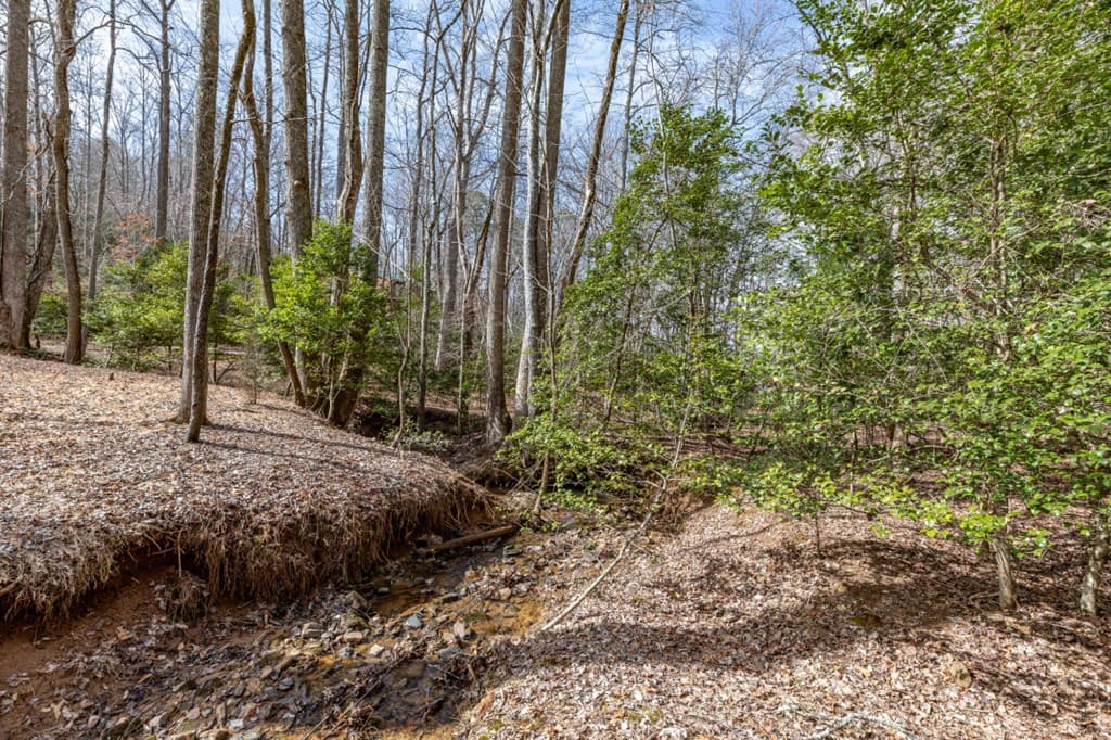 Lots 7&8 Zion Way, Blairsville GA 30512 - Photo