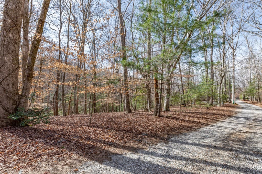 Lots 7&8 Zion Way, Blairsville GA 30512 - Photo