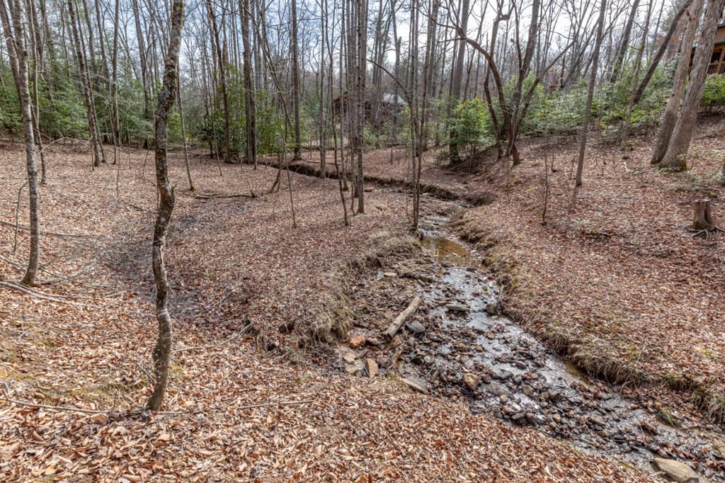 Lots 7&8 Zion Way, Blairsville GA 30512 - Photo