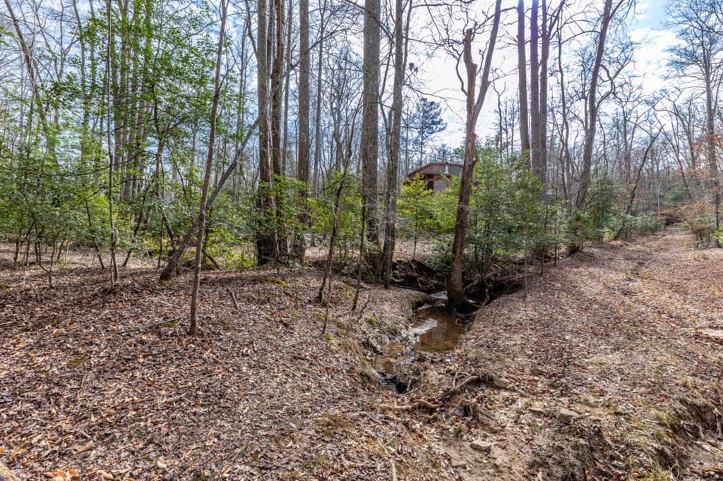 Lots 7&8 Zion Way, Blairsville GA 30512 - Photo
