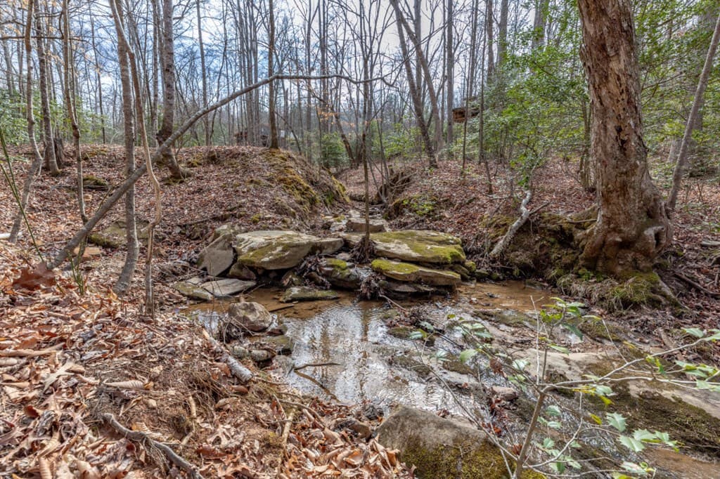 Lots 7&8 Zion Way, Blairsville GA 30512 - Photo