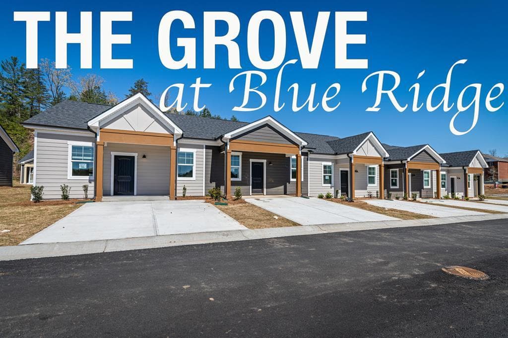 Unit 32 Grove Loop, Blue Ridge GA 30513 - Photo